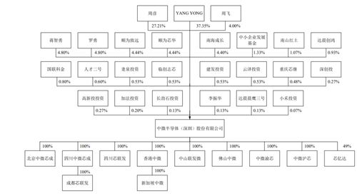 中微半導 背靠明星機構，集成電路設計領域的科創(chuàng)板“芯”力量